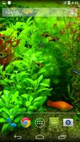 Real Aquarium 3D Wallpaper