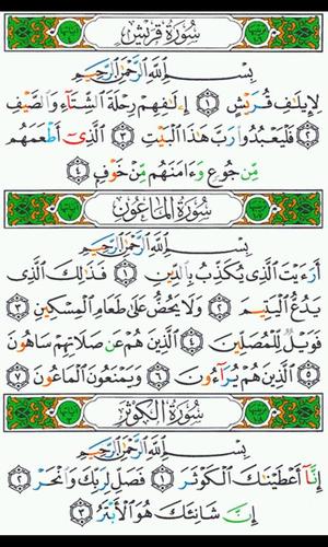 Mushaf Tajweed