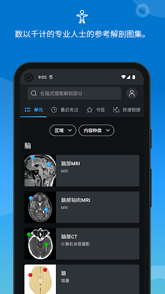 e-Anatomy