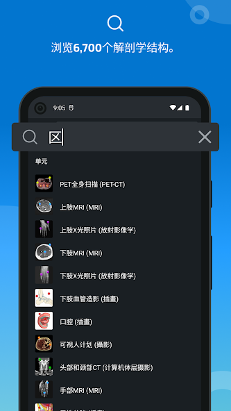 e-Anatomy