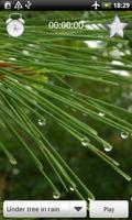 Rain Sounds
