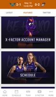 Phoenix Mercury