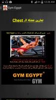 Gym Egypt News