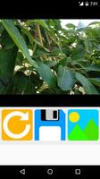 rotate pictures