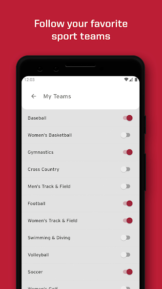 Arkansas Razorbacks