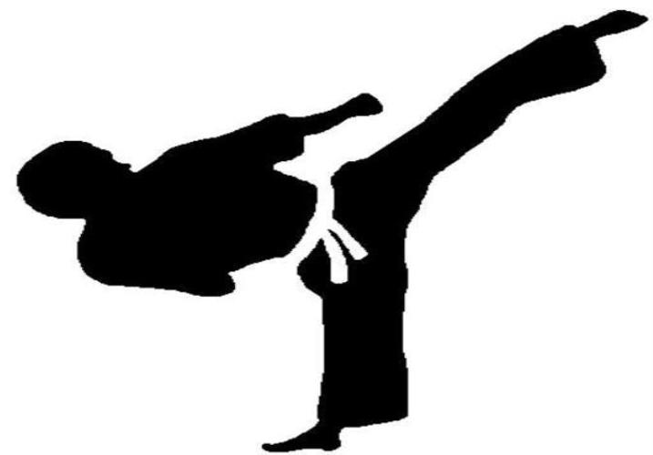 Taekwondo Training Program