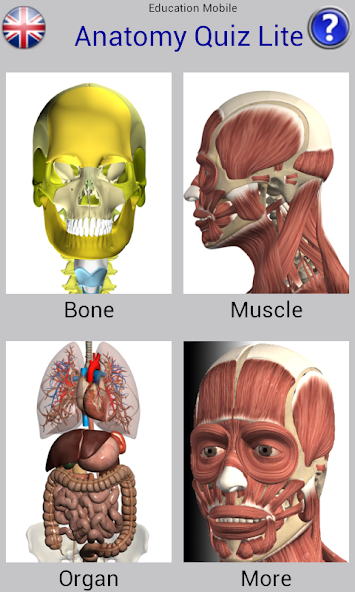 Anatomy Quiz