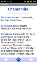 Medicinal Herbs