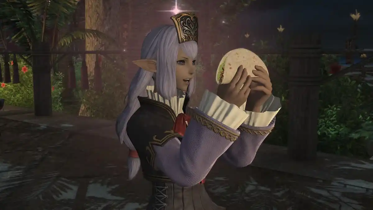 Ffxiv: Echoes of Vana'diel macht mich nostalgisch und ich spiele nicht einmal ffxi