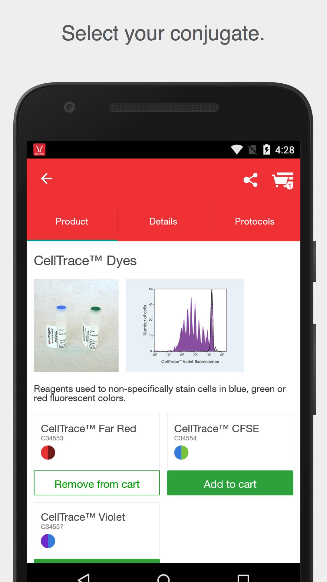 Flow Cytometry