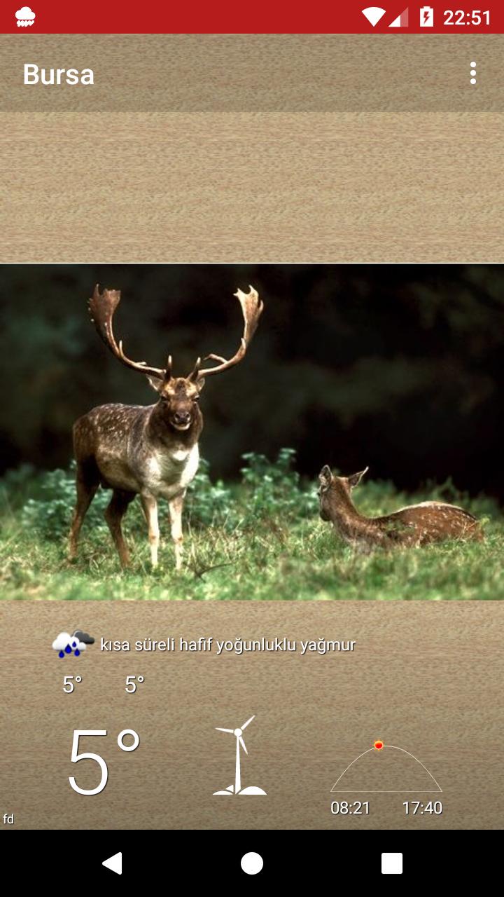 Bursa
