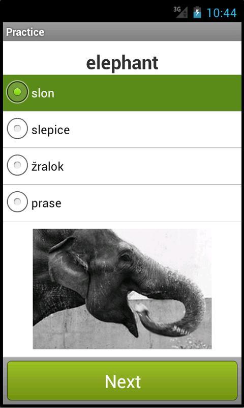 English vocabulary