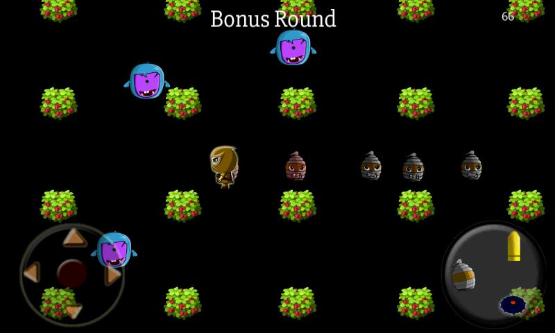 Ninja Bomber