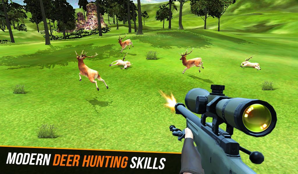 Hunt Jungle Animals