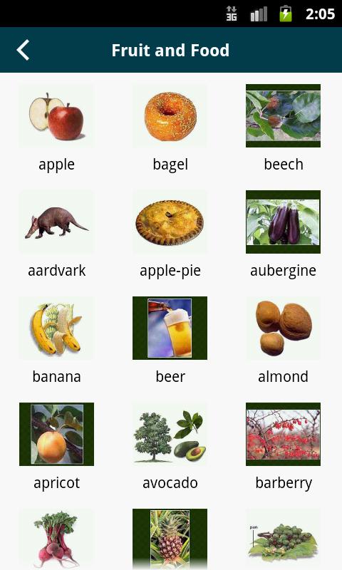 English By Picture