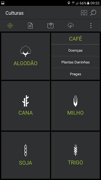 ADAMA Alvo