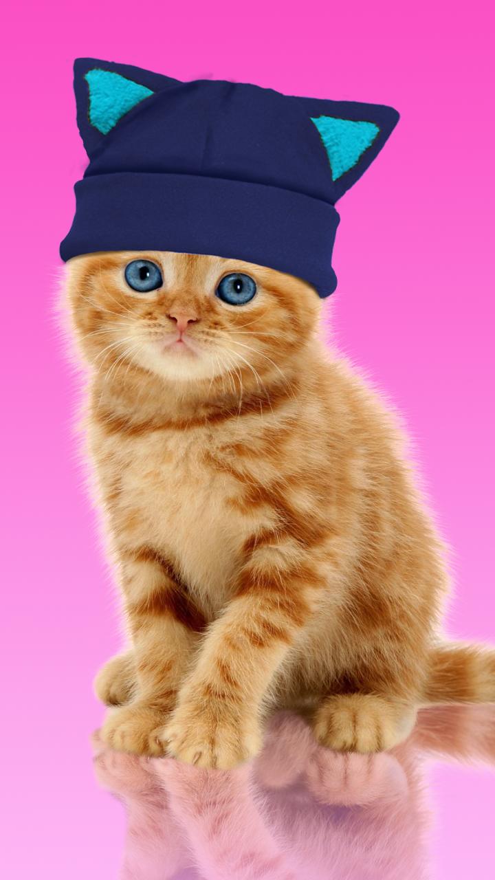 Sweet Cat. Dress Up Wallpaper