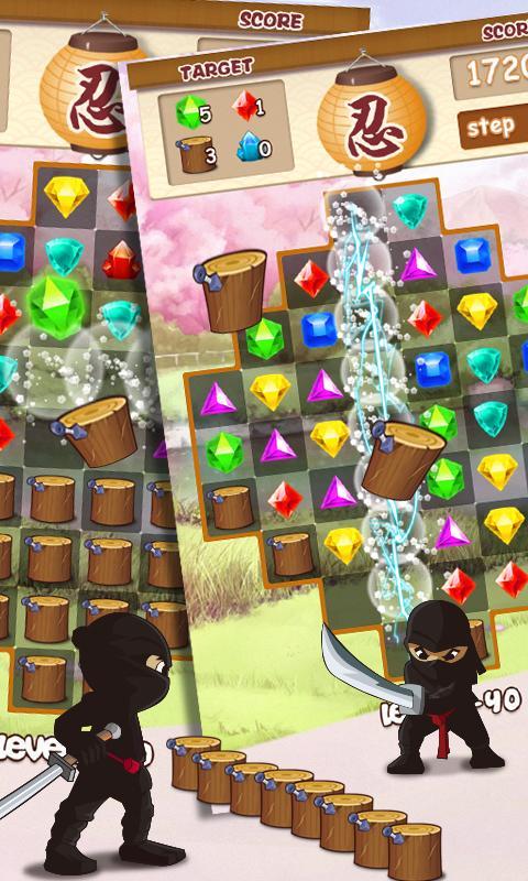 Ninja Jewels