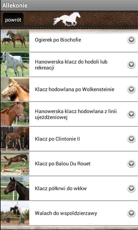 Allekonie
