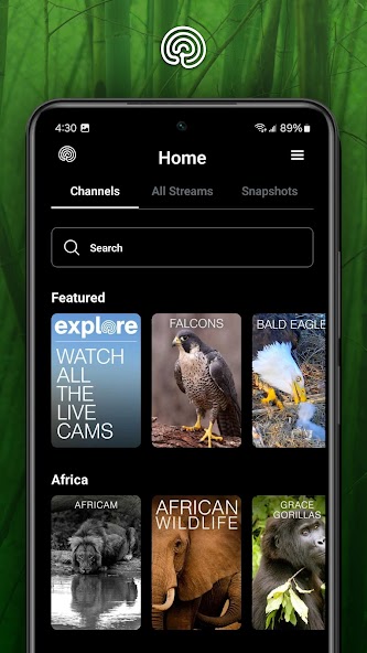 explore.org