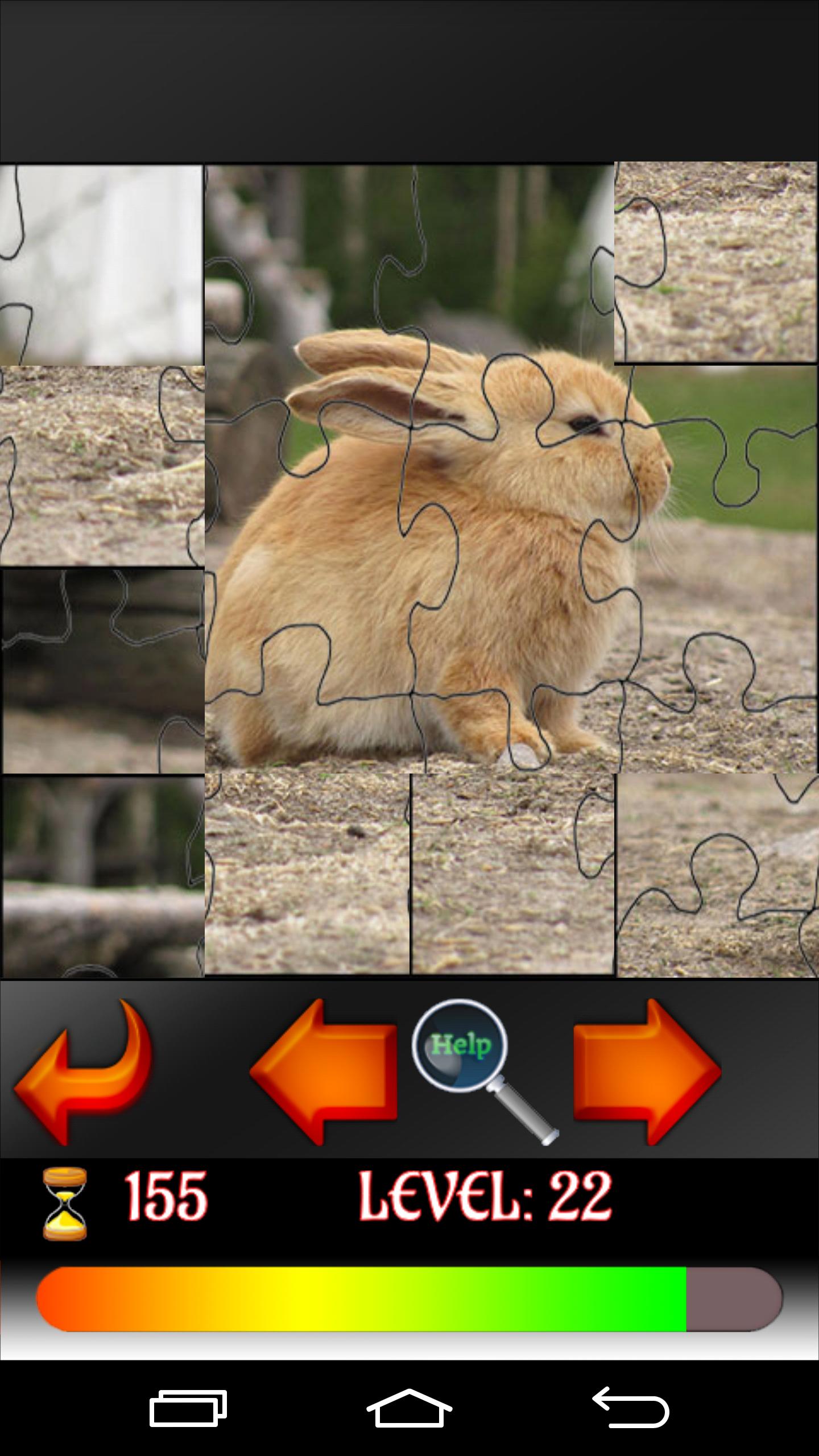 Puzzle Animals
