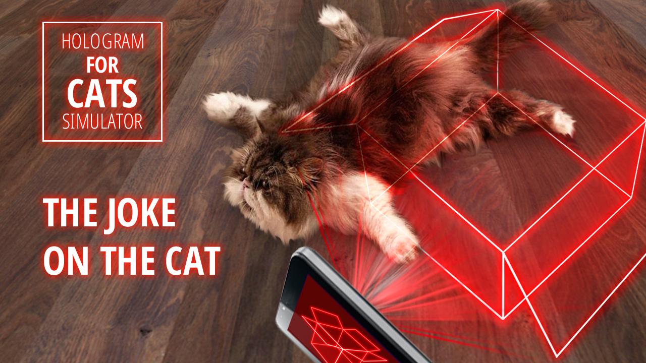 Hologram for cats. Simulator