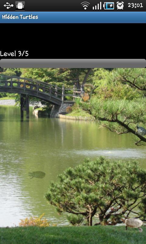 Hidden Object Games - Turtles