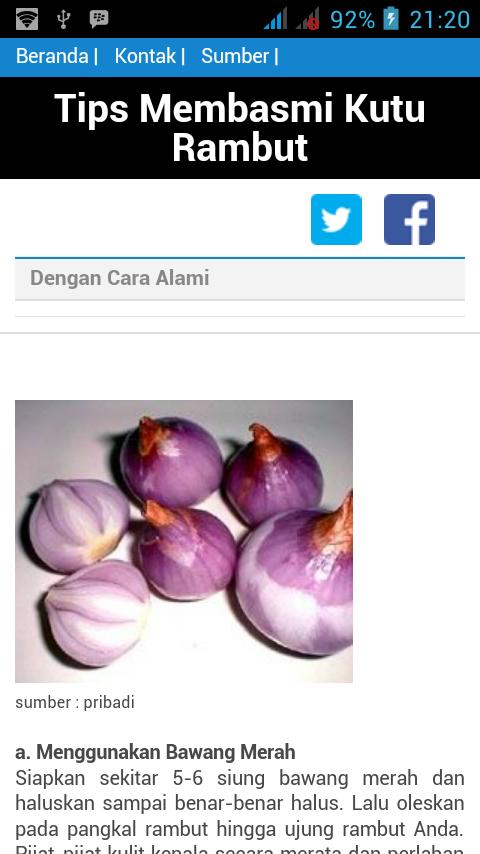 Tips Membasmi Kutu Rambut