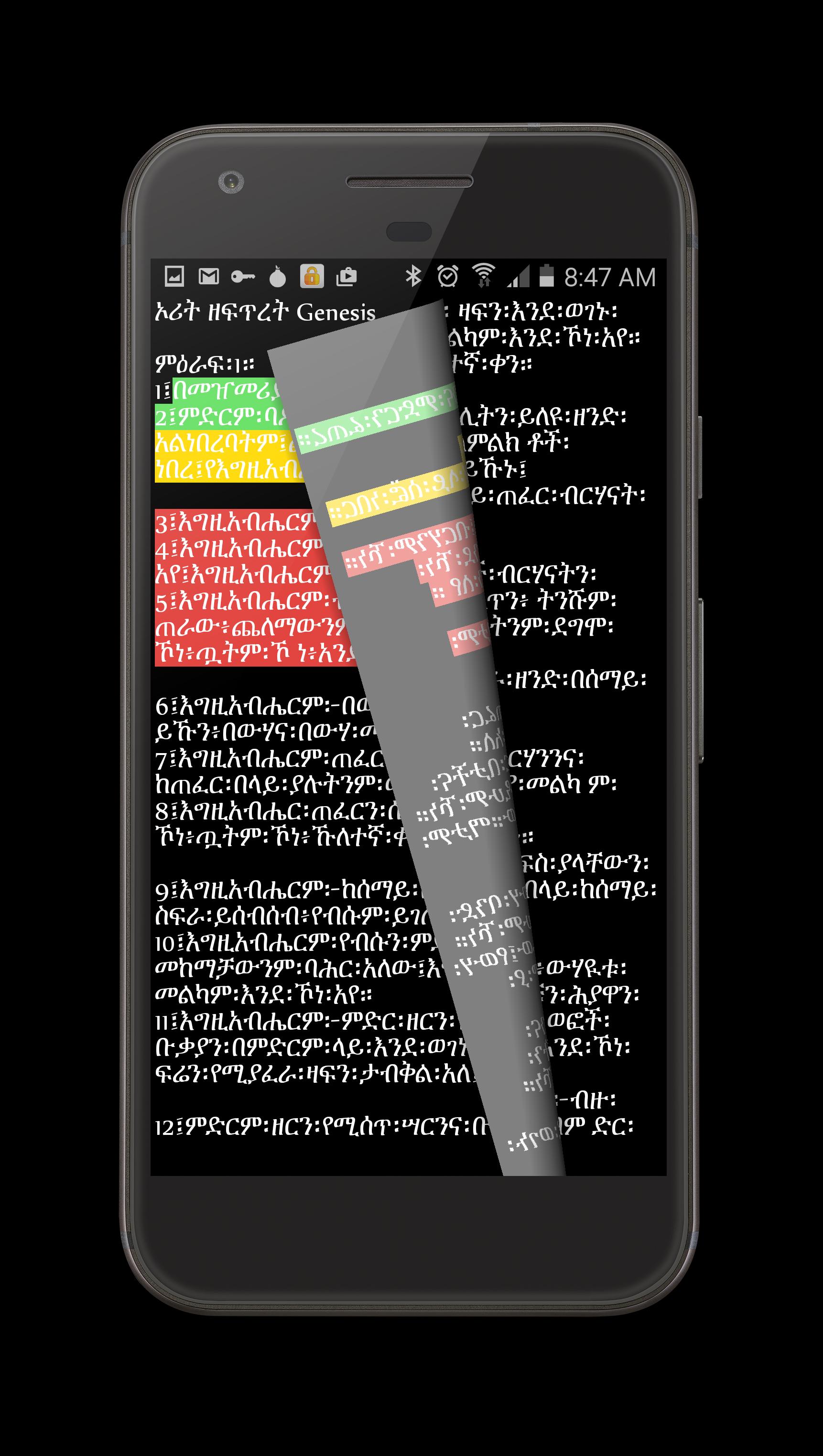 Amharic 81 Orthodox Bible