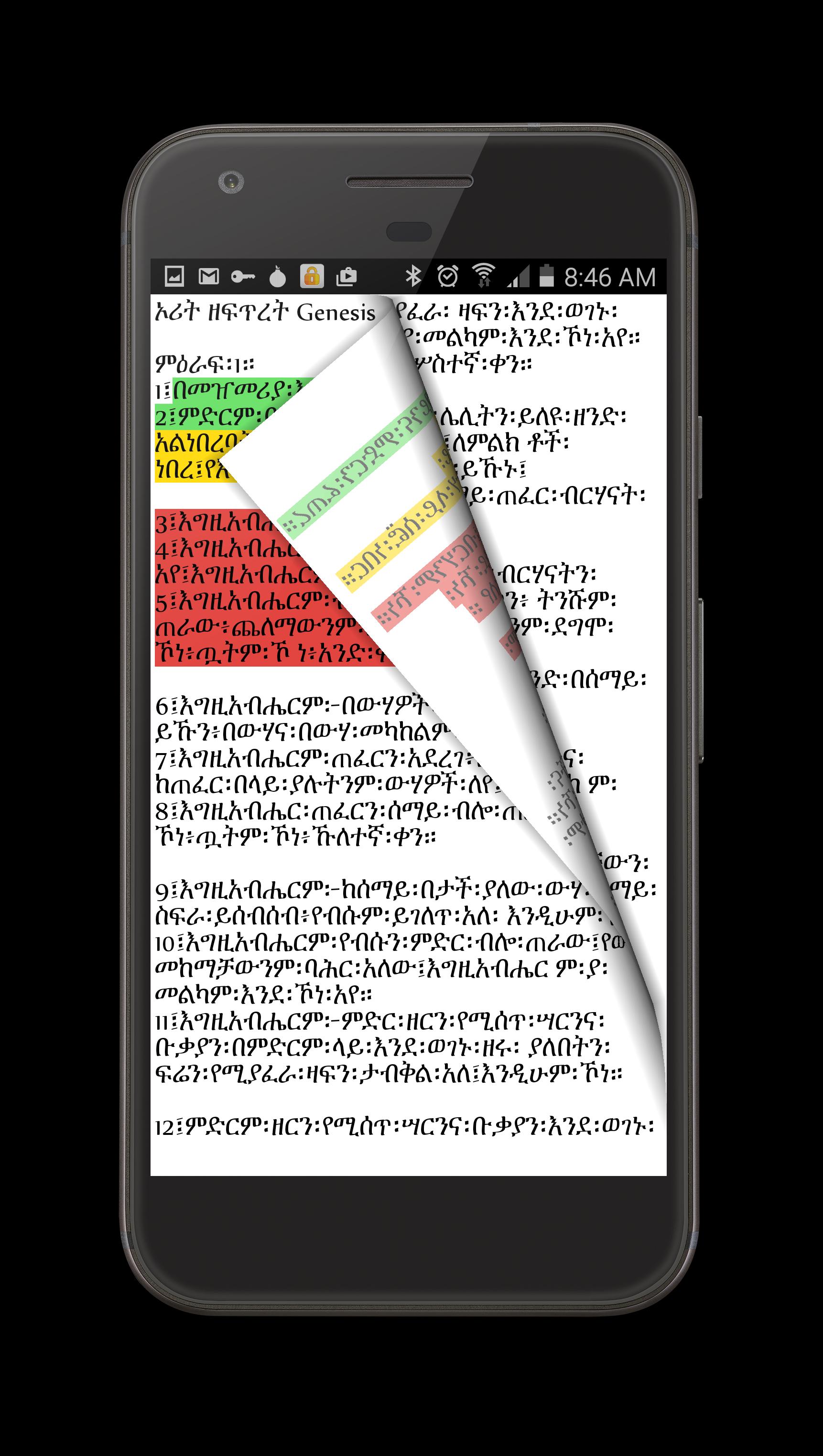 Amharic 81 Orthodox Bible
