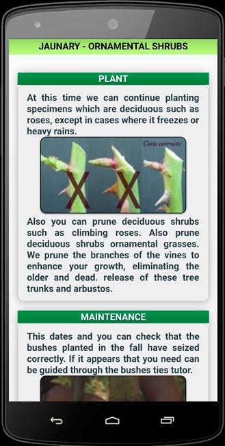 The Horticultural Calendar