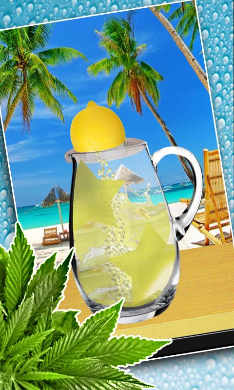 Fruity Lemonade Maker