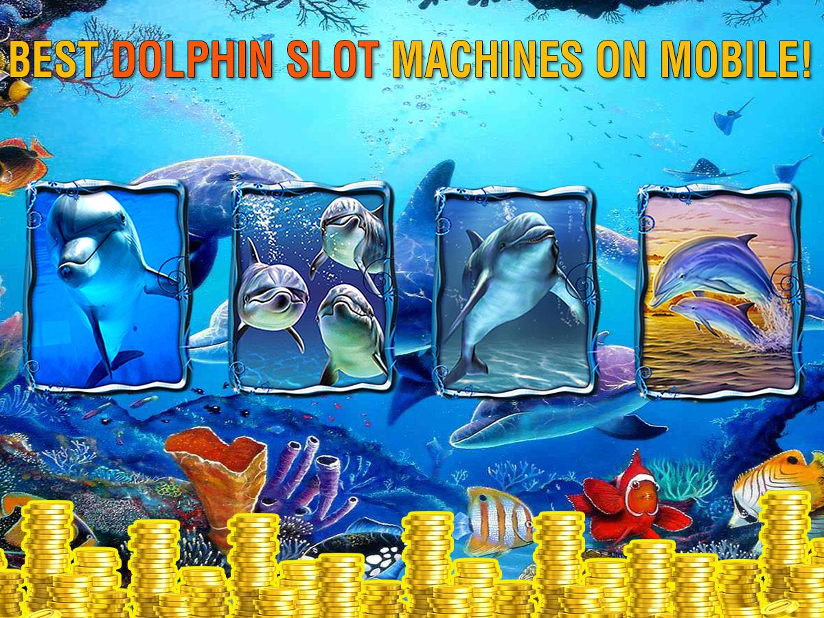 Dolphin Slots: Free Casino