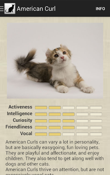 Cat Breeds