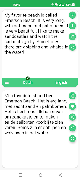 Dutch - English Translator
