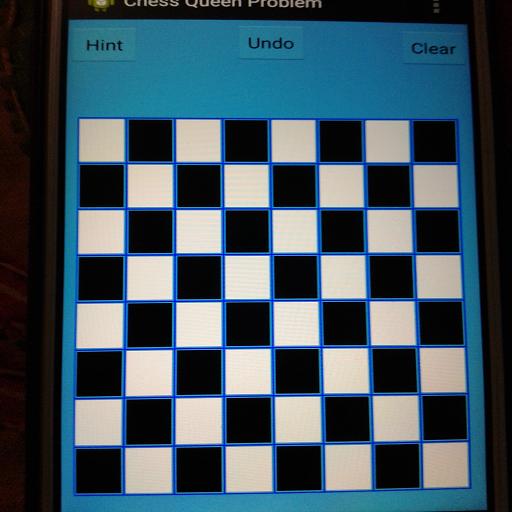 Chess Queen Problem