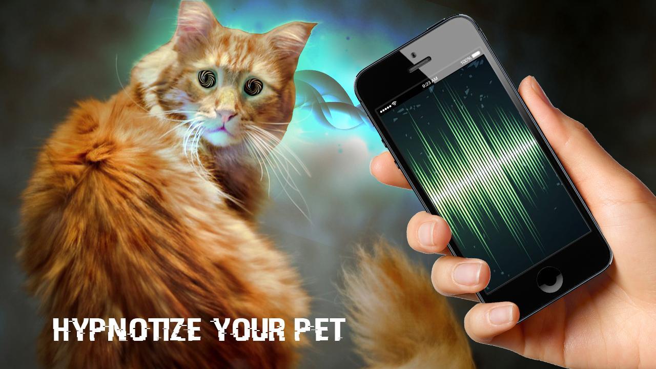Hypnosis for Cat Prank