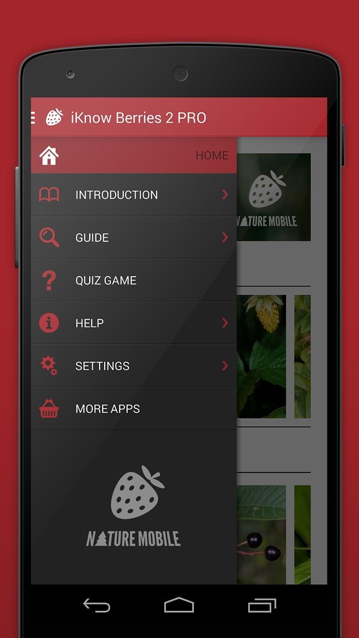 Wild Berries and Herbs 2 LITE