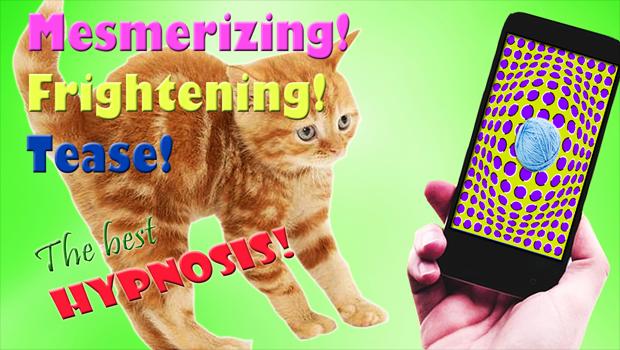 Hypnosis Subjection Cat Prank