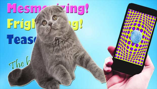 Hypnosis Subjection Cat Prank