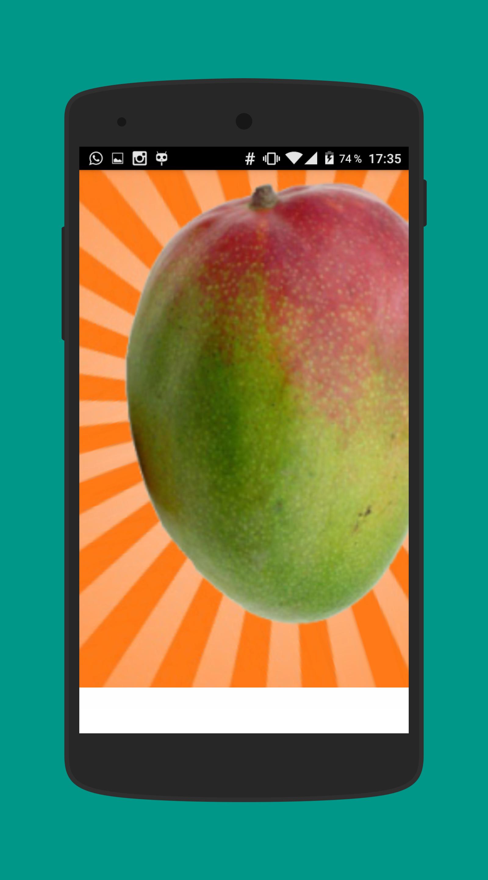 Mango Simulator