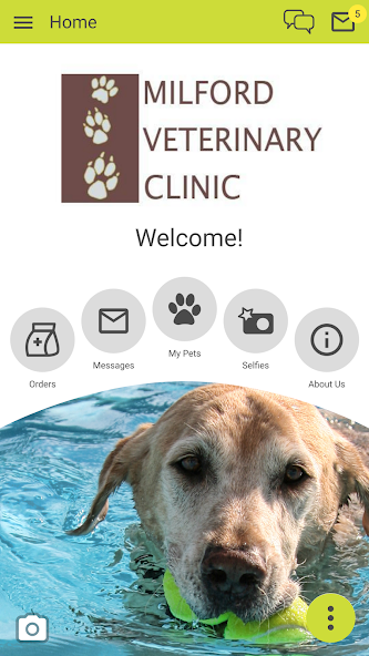 Milford Veterinary Clinic