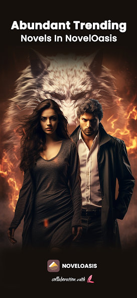 NovelOasis