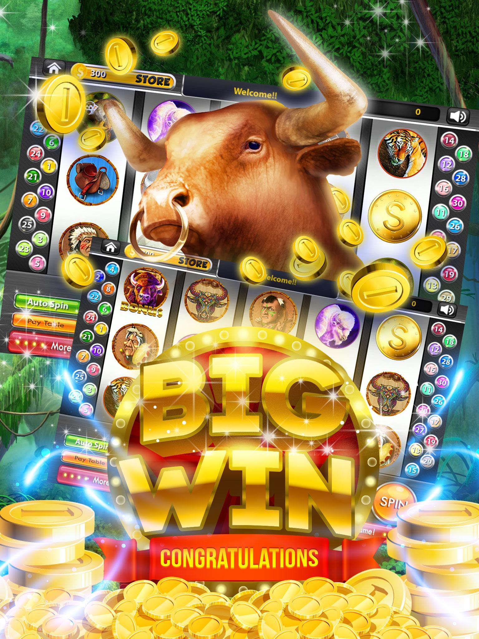 Cherokee Buffalo Casino Slots!