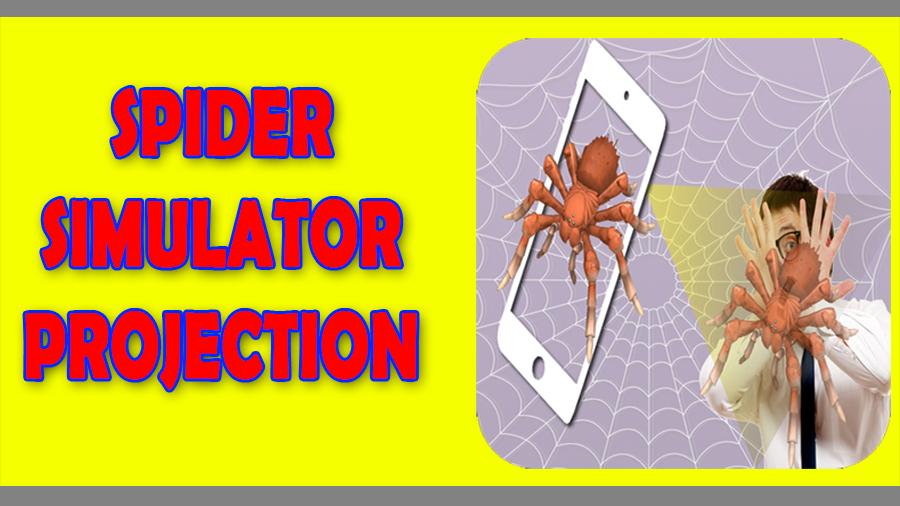 Spider Projection Simulator