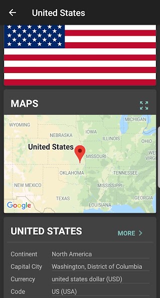 The flags of the world