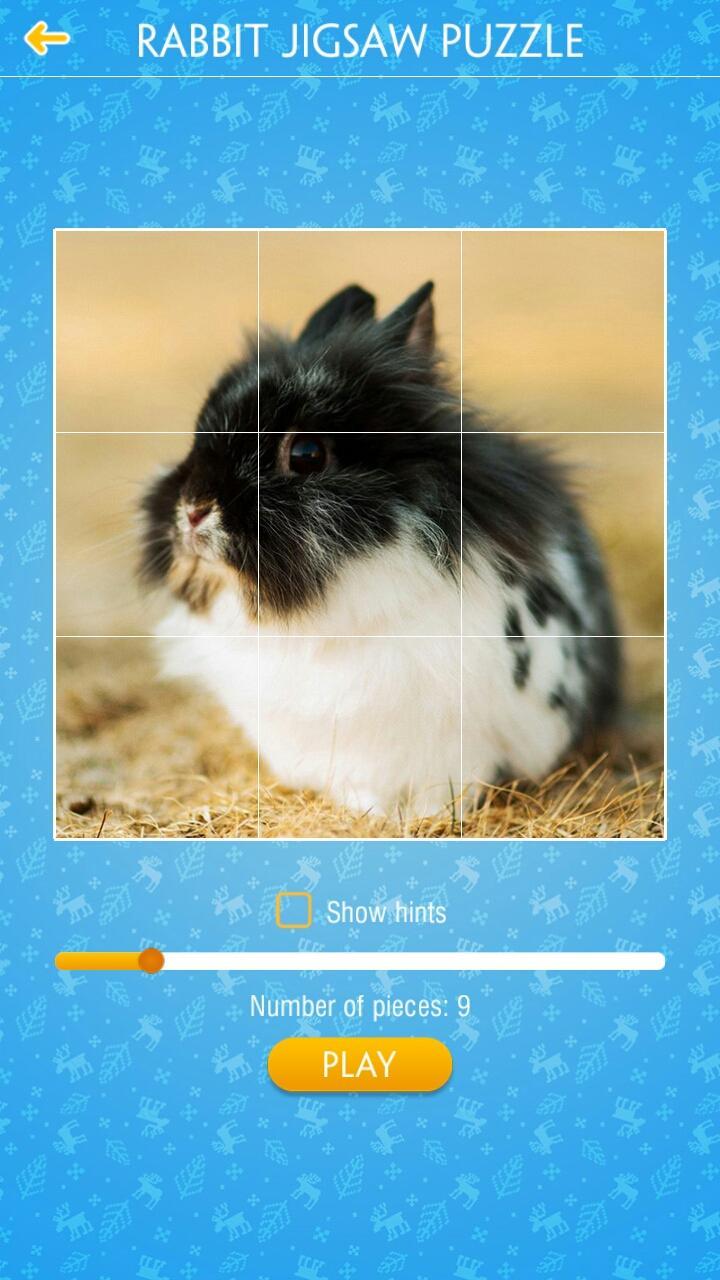 Rabbit Jigsaw Puzzle