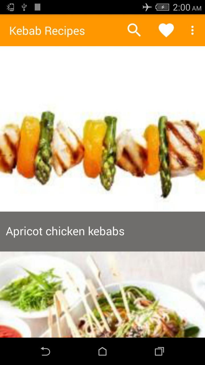 Kebab Recipes