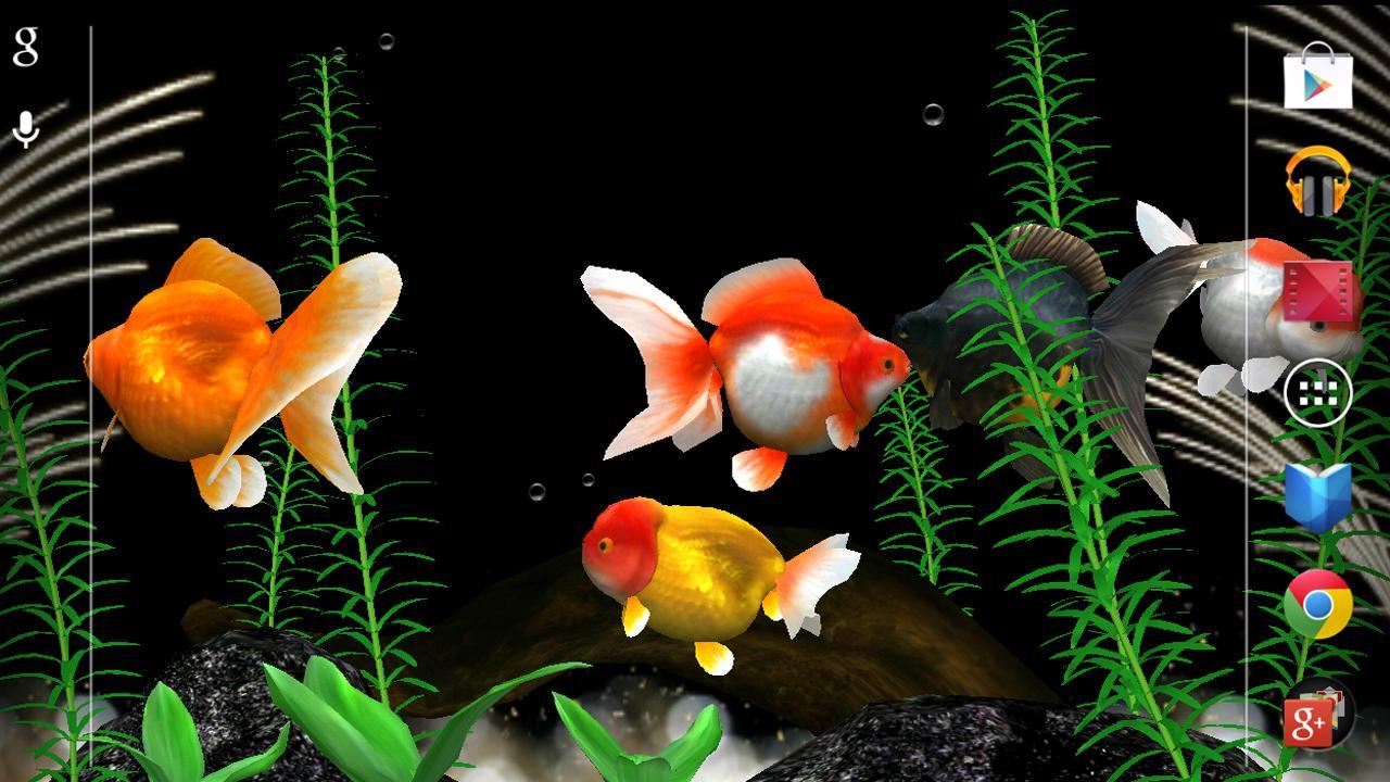 Gold Fish 3D free LWP