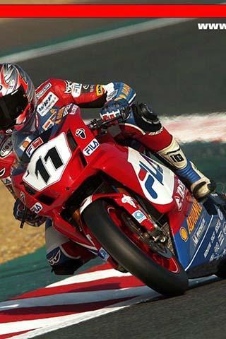 Neil Hodgson Ducati Puzzle